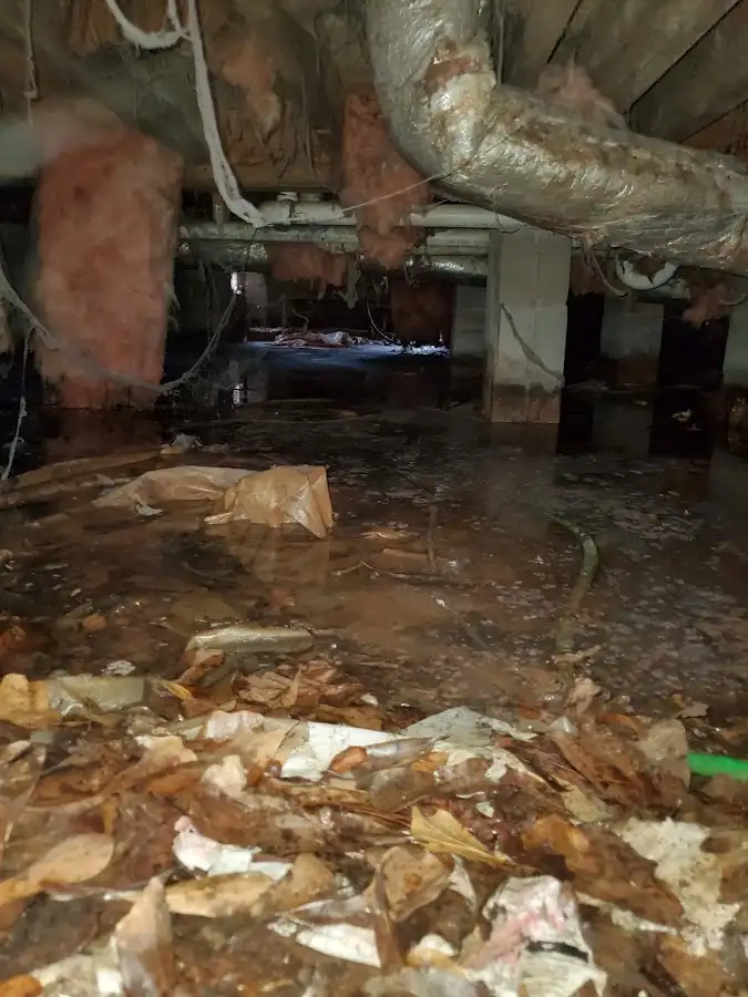 Crawl space flood assessment for Leak Detection & Repair in Kearney